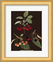 Cherries Fine Art Print