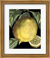 Fragrant Citrus I Fine Art Print