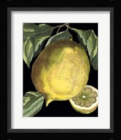 Fragrant Citrus I Fine Art Print