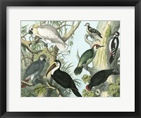 Avian Collection I Fine Art Print