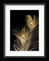 Plumes D'or II Framed Print