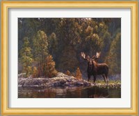 North Country Moose Fine Art Print