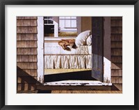 Home Again Framed Print