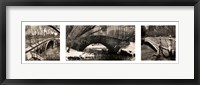 Central Park Bridges Framed Print