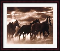 Running Horses & Sunbeams Fine Art Print