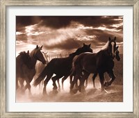 Running Horses & Sunbeams Fine Art Print