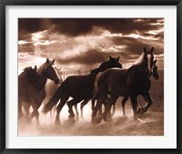 Running Horses & Sunbeams Fine Art Print