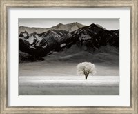 Solitary Tree Fine Art Print