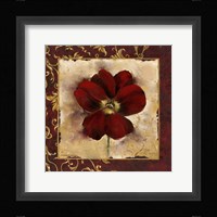 Pansy Framed Print