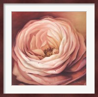 Rose Portrait Fine Art Print
