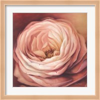 Rose Portrait Fine Art Print