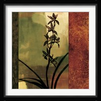 Mesmerized I Fine Art Print