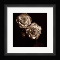 Circus Roses Fine Art Print