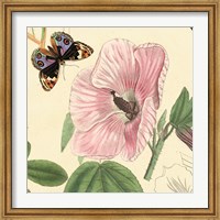 Hibiscus Fine Art Print
