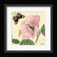 Hibiscus Fine Art Print