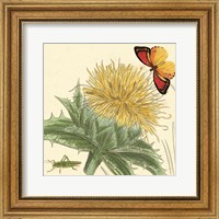 Star Thistle Fine Art Print