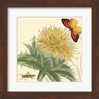 Star Thistle Fine Art Print