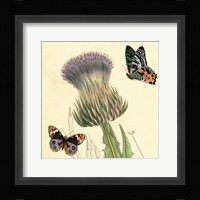 Field Thistle Fine Art Print