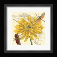 Indian Cup Fine Art Print