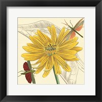 Indian Cup Framed Print