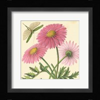 Pink Gerber Fine Art Print