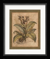 Valencia I Fine Art Print