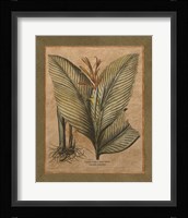 Valencia II Fine Art Print