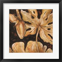 Key Largo II Framed Print