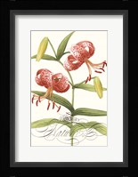 Modern Atelier II Framed Print