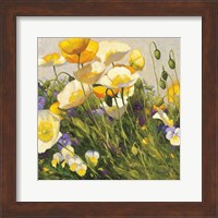 Poppies and Pansies I Fine Art Print