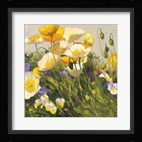 Poppies and Pansies I Fine Art Print