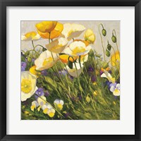 Poppies and Pansies I Fine Art Print