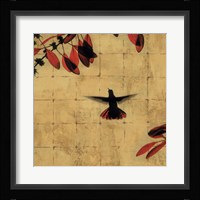 Colibri II Fine Art Print