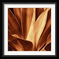 Santa Fe I Fine Art Print