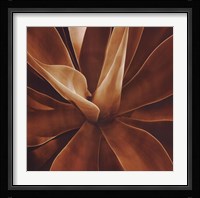 Santa Fe II Fine Art Print