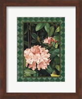 Rhododendrum I Fine Art Print