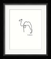 The Camel Framed Print
