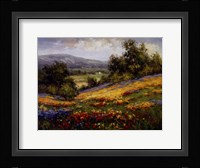 Campo Di Fiore I Fine Art Print