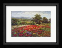 Campo Di Fiore II Fine Art Print