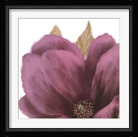 Grandiflora Blush II Fine Art Print