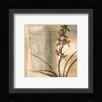 Shadow Dance II Fine Art Print