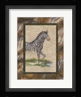 Zebra Fine Art Print