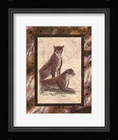 Cheetahs Fine Art Print