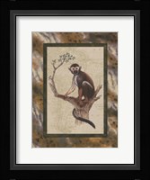 Squirrel Monkey Fine Art Print