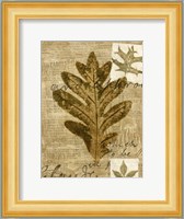 Leaf Collage I Fine Art Print