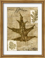Leaf Collage II Fine Art Print