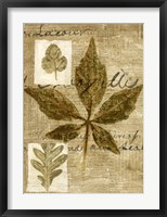 Leaf Collage III Fine Art Print