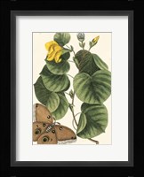 Butterfly and Botanical I Fine Art Print