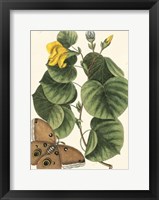 Butterfly and Botanical I Fine Art Print