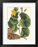 Butterfly and Botanical I Fine Art Print